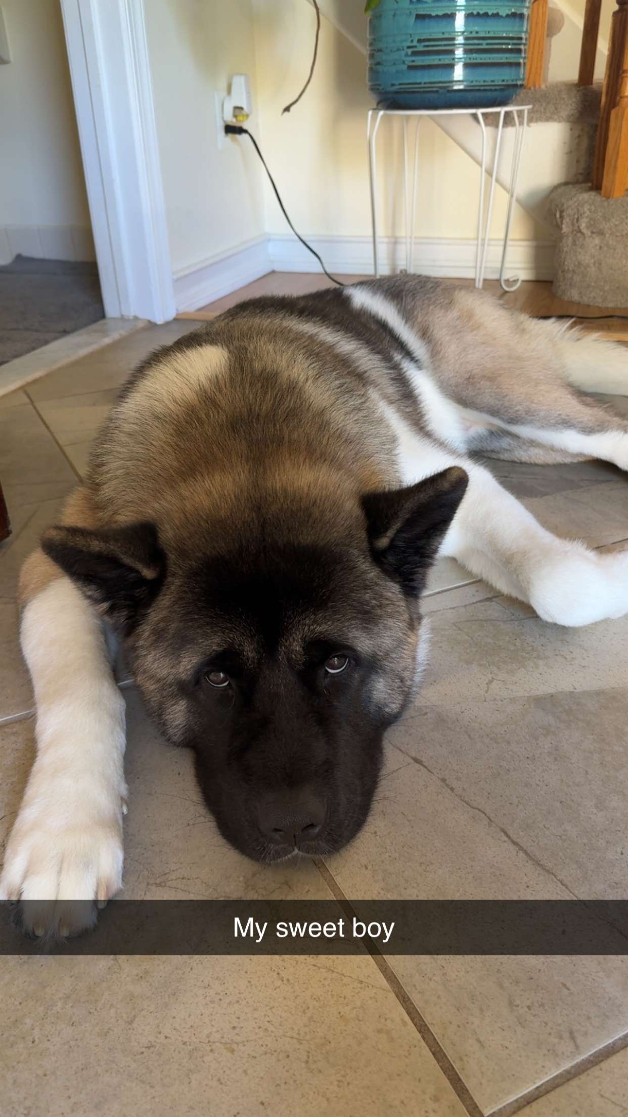 kayleedolisi snapchat image archive image