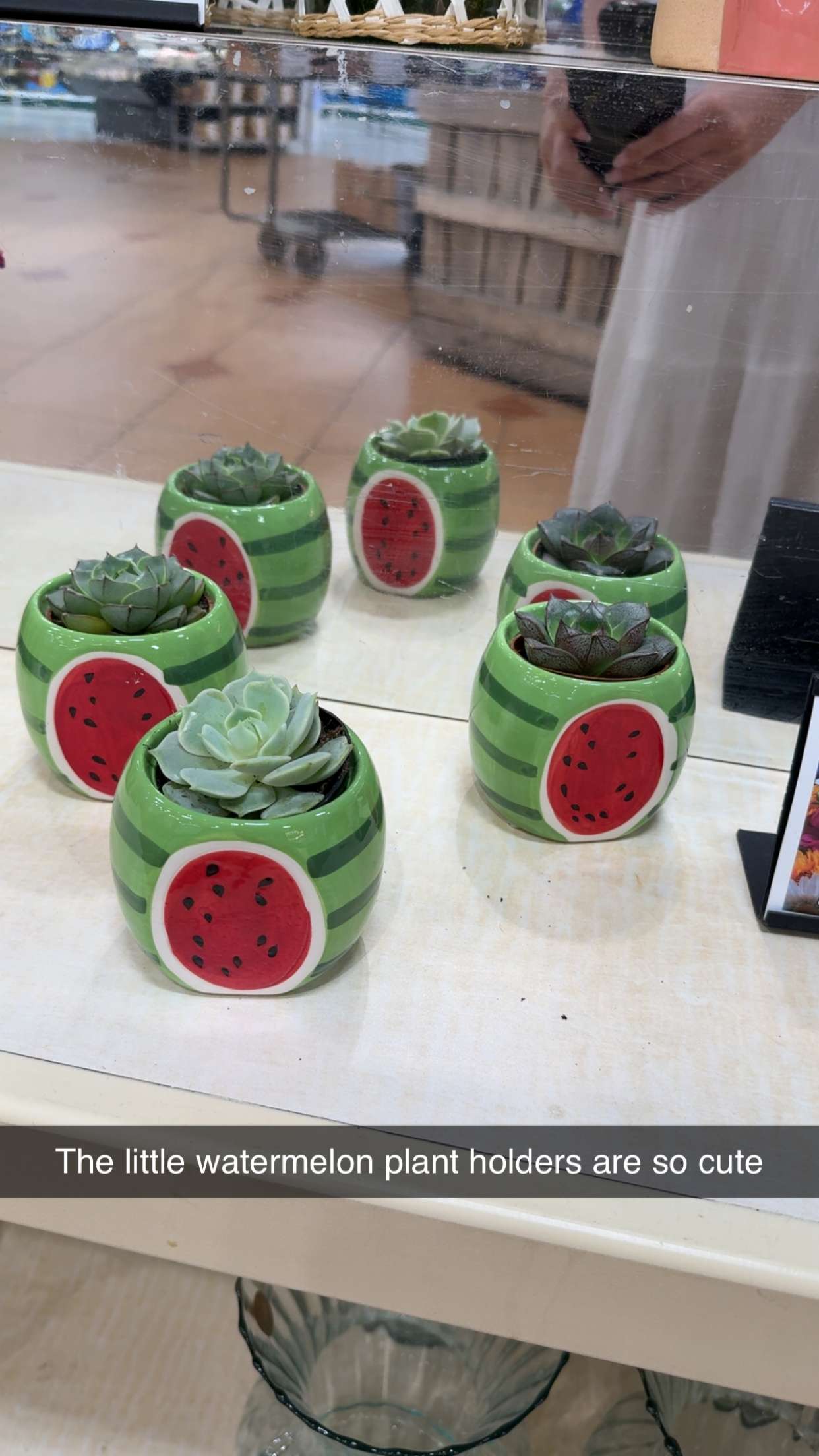 kayleedolisi snapchat image archive image