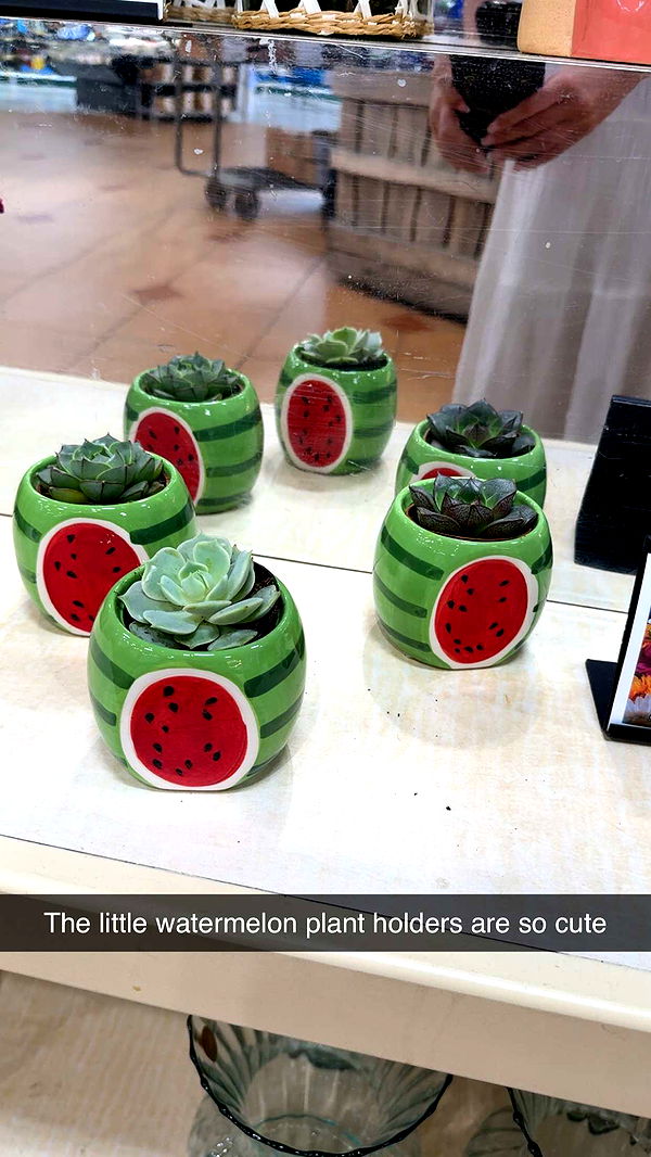 kayleedolisi image ~ Altpins