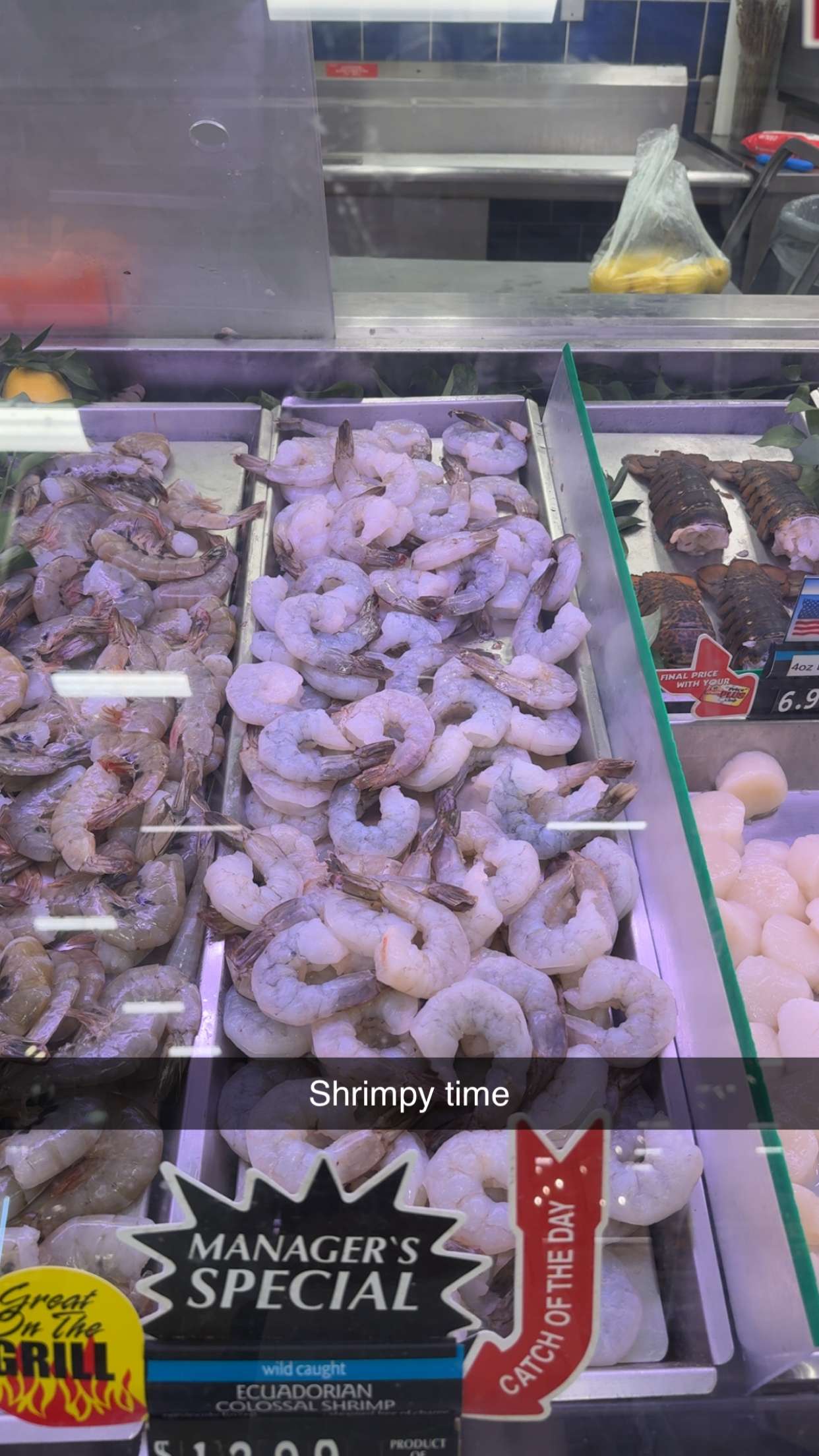 kayleedolisi snapchat image archive image