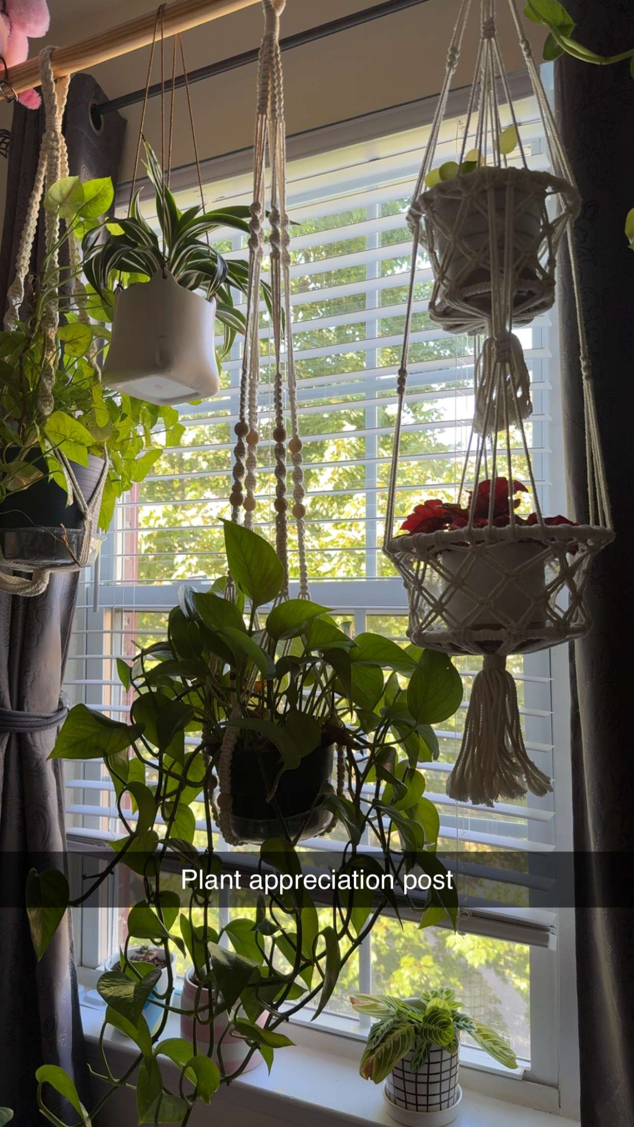 kayleedolisi snapchat image archive image