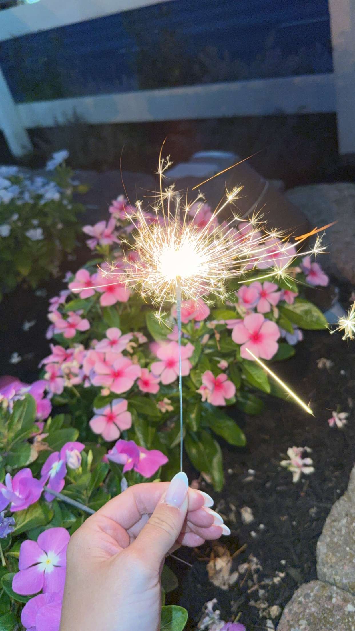 kayleedolisi snapchat image archive image