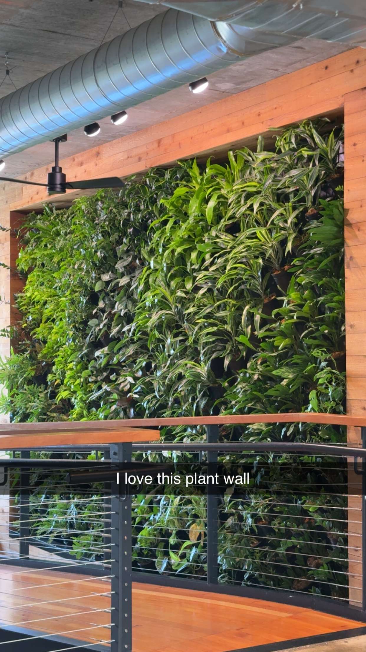 kayleedolisi snapchat image archive image