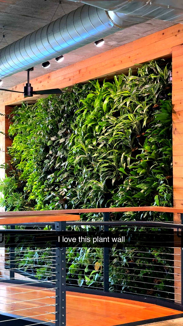 kayleedolisi image ~ Altpins