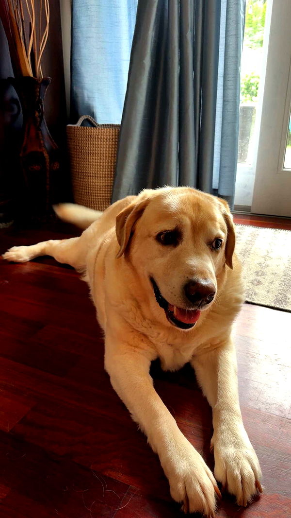 kayleedolisi image ~ Altpins