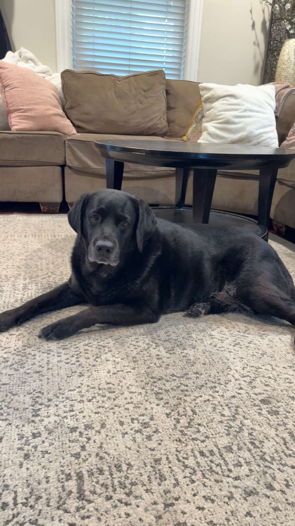 kayleedolisi snapchat image archive image