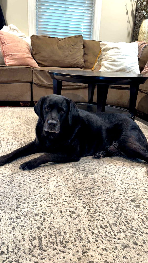 kayleedolisi image ~ Altpins