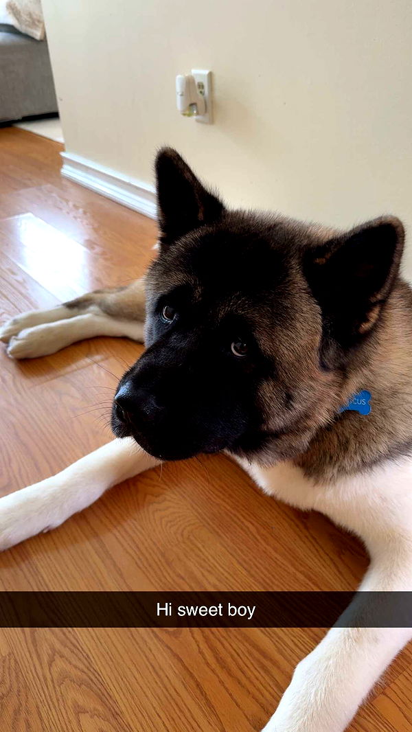 kayleedolisi image ~ Altpins