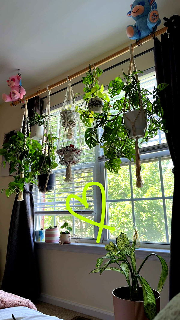 kayleedolisi image ~ Altpins