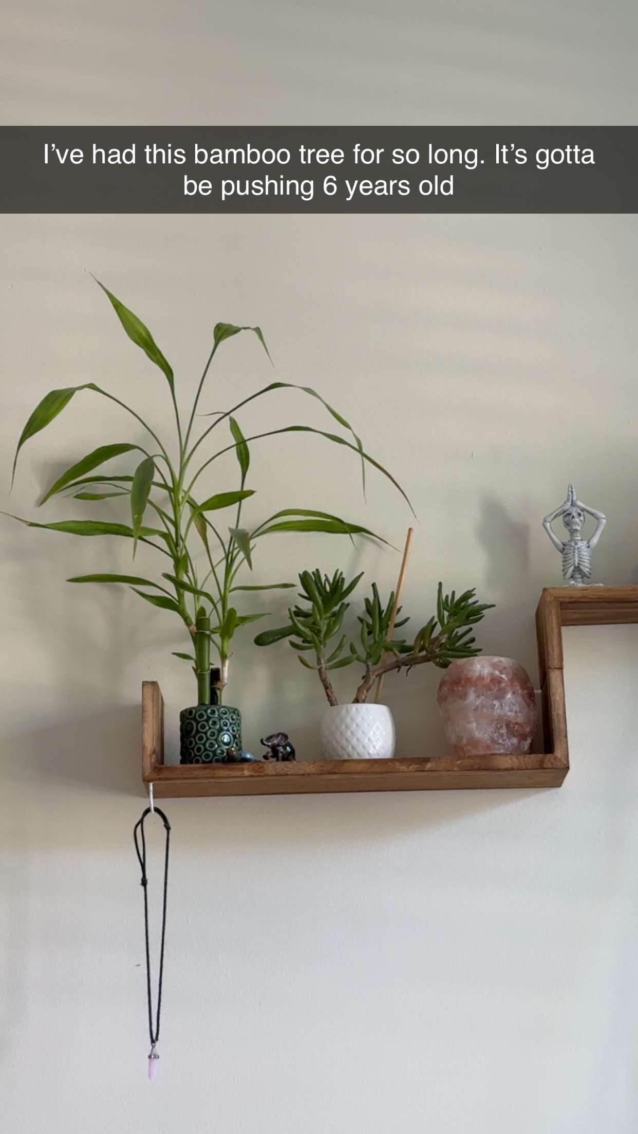 kayleedolisi snapchat image archive image