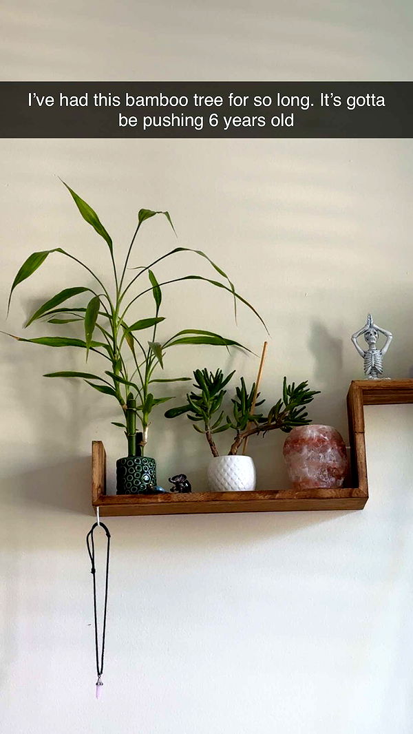 kayleedolisi image ~ Altpins