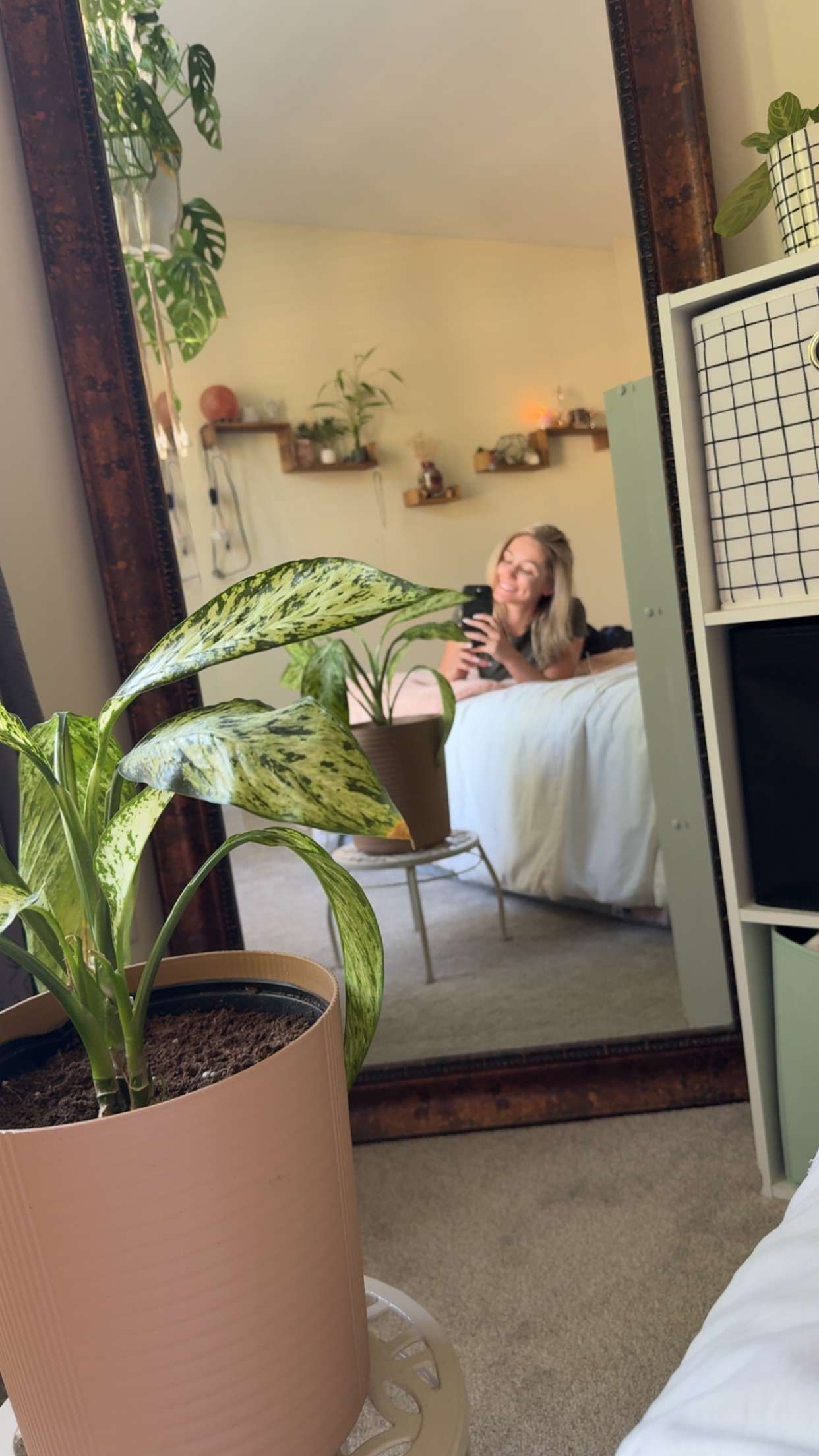 kayleedolisi snapchat image archive image