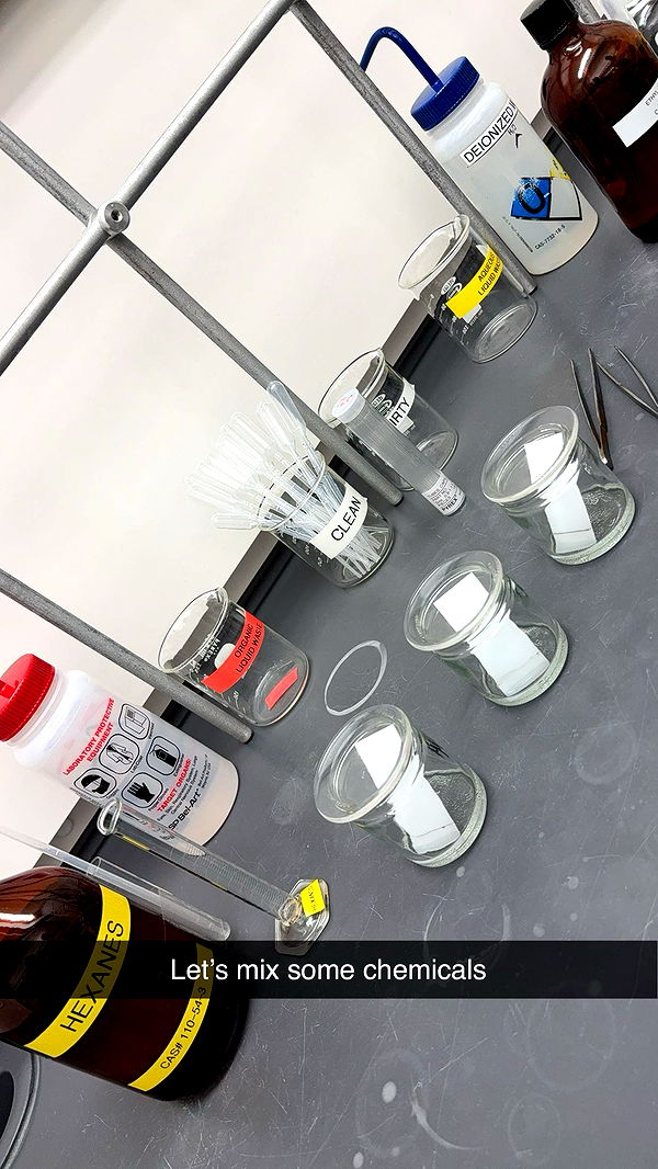 kayleedolisi image ~ Altpins