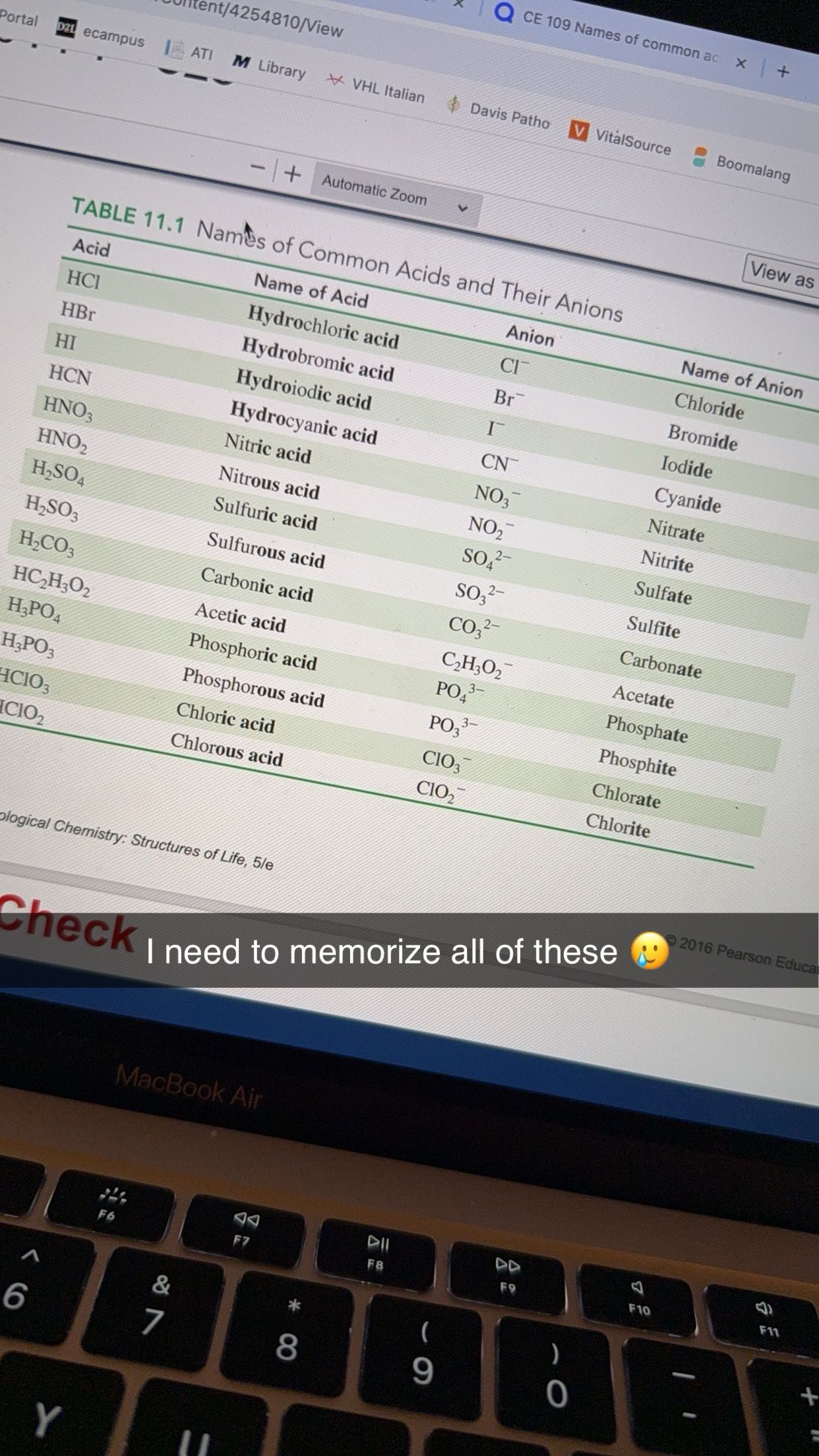 kayleedolisi snapchat image archive image