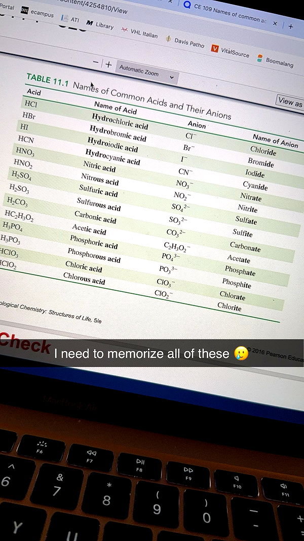 kayleedolisi image ~ Altpins