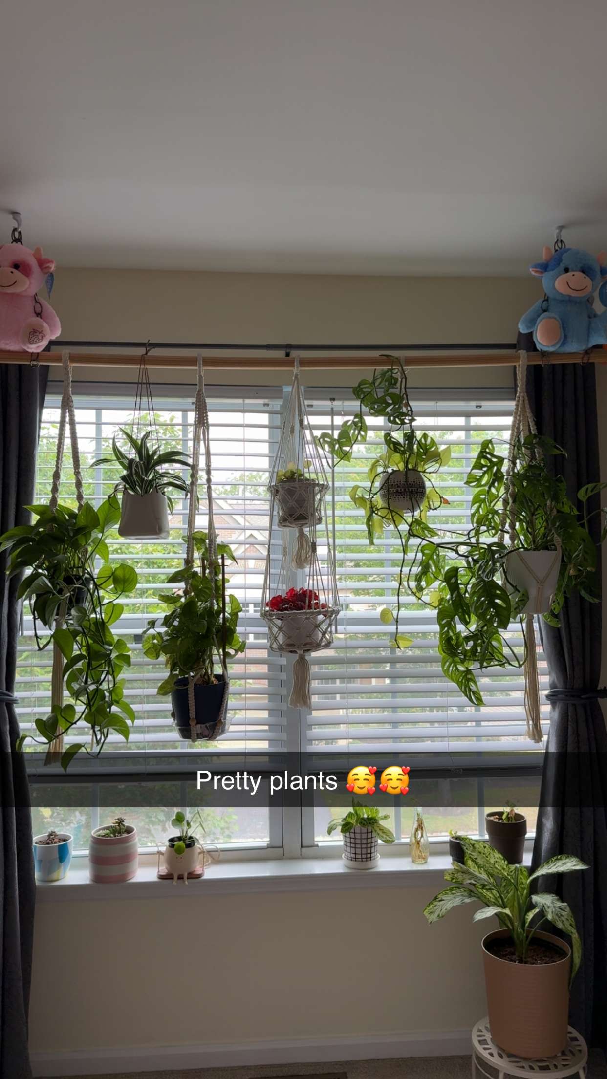 kayleedolisi snapchat image archive image