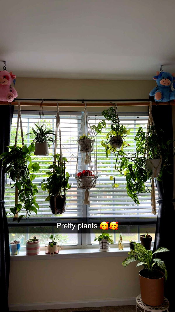 kayleedolisi image ~ Altpins