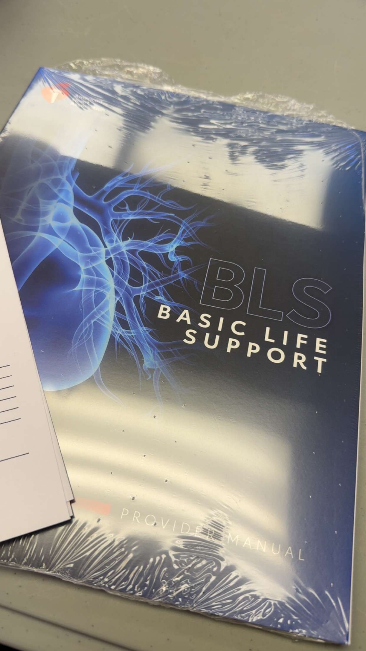 kayleedolisi snapchat image archive image