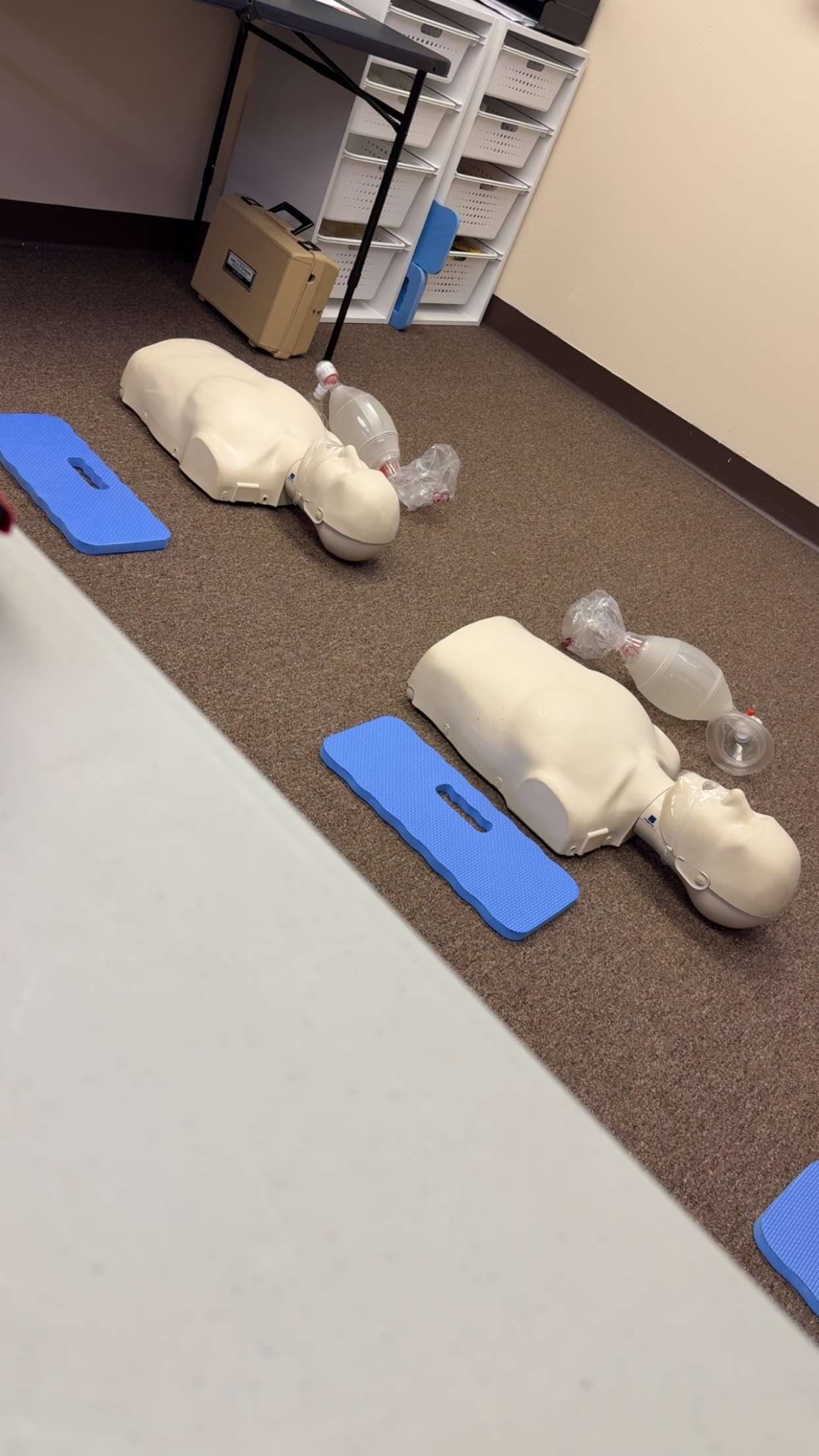 kayleedolisi snapchat image archive image