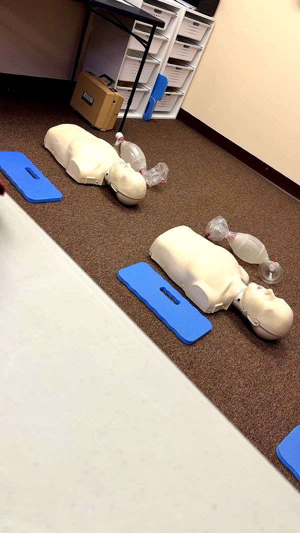 kayleedolisi image ~ Altpins