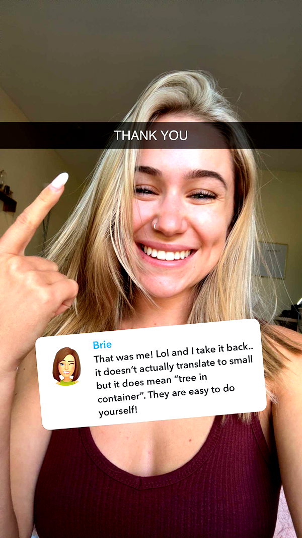 kayleedolisi snapchat image archive image