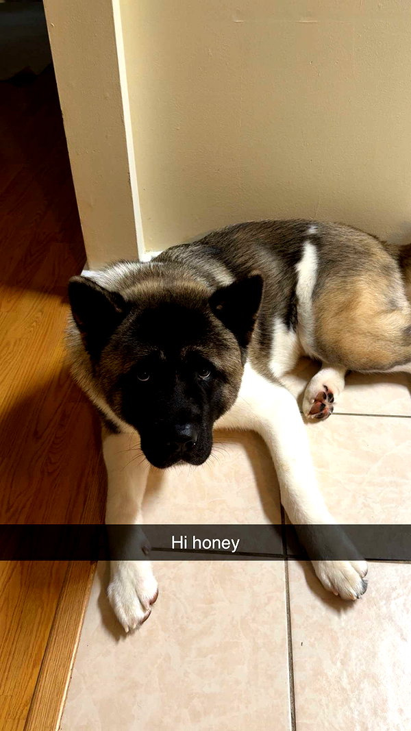 kayleedolisi snapchat image archive image