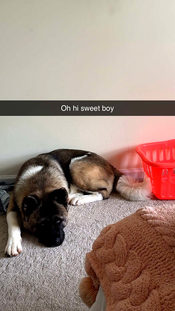 kayleedolisi snapchat image archive image