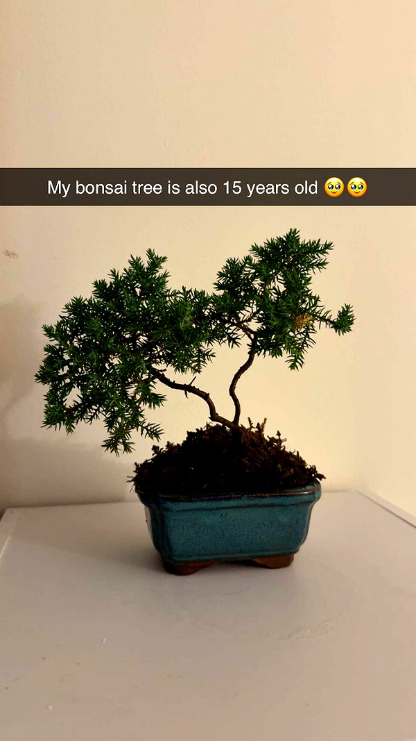 kayleedolisi snapchat image archive image