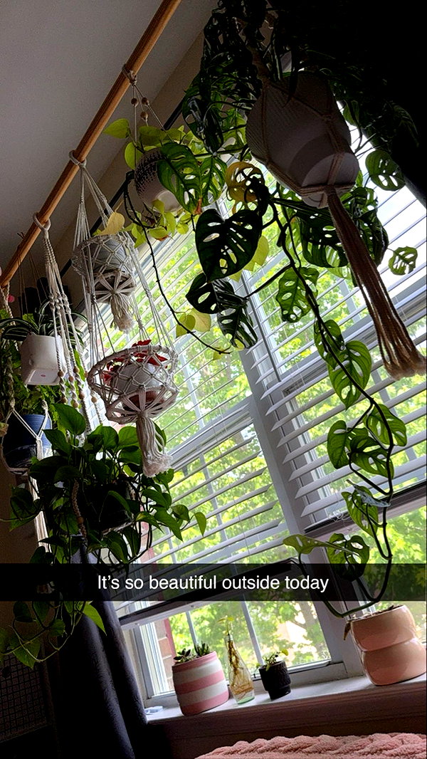 kayleedolisi snapchat image archive image