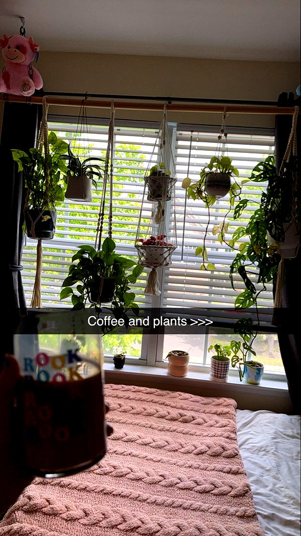 kayleedolisi snapchat image archive image