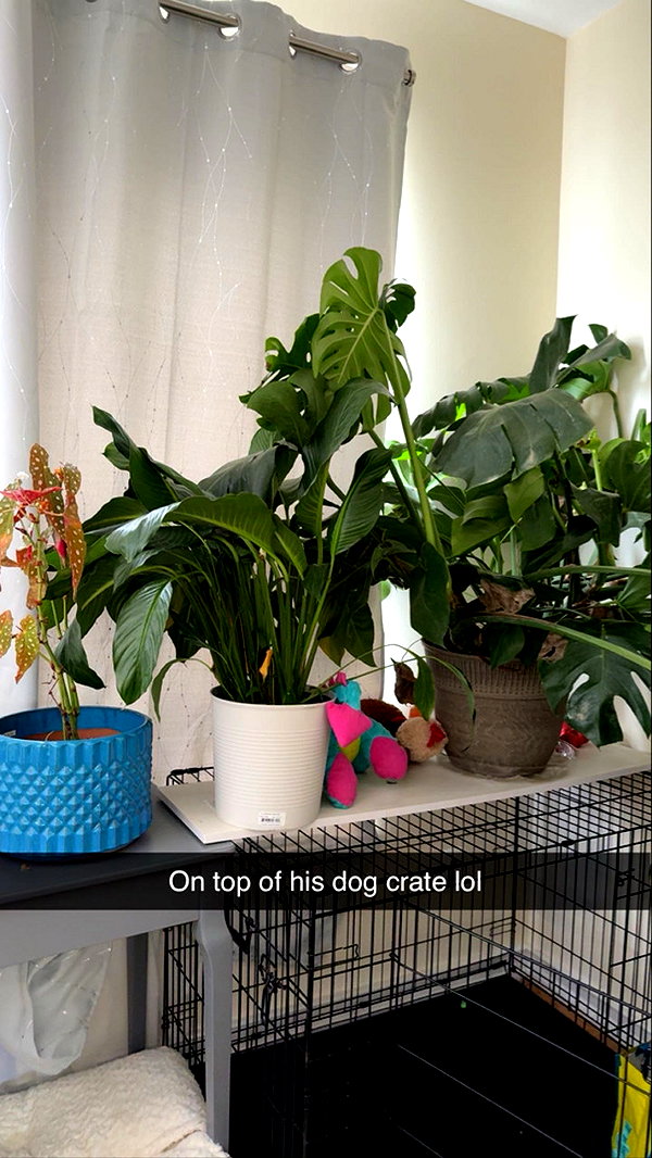 kayleedolisi snapchat image archive image