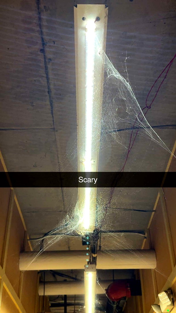 kayleedolisi snapchat image archive image