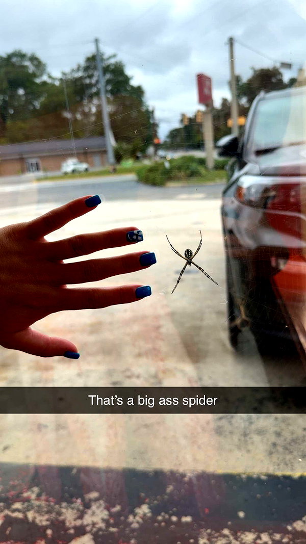 kayleedolisi snapchat image archive image