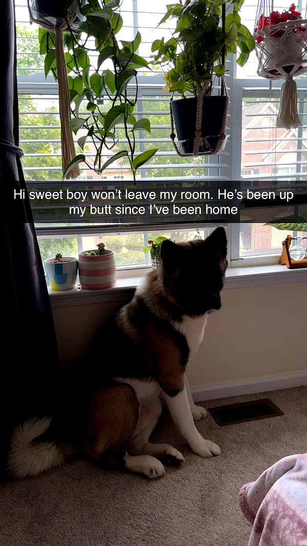 kayleedolisi snapchat image archive image