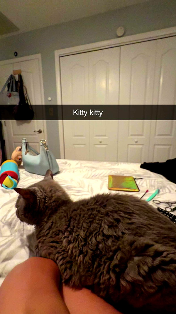 kayleedolisi snapchat image archive image