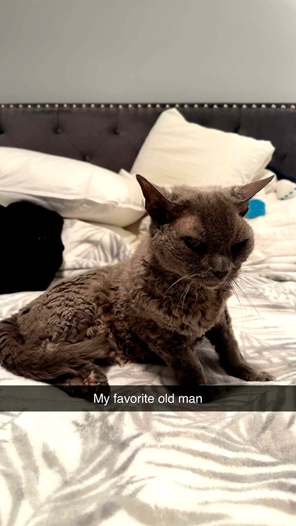 kayleedolisi snapchat image archive image