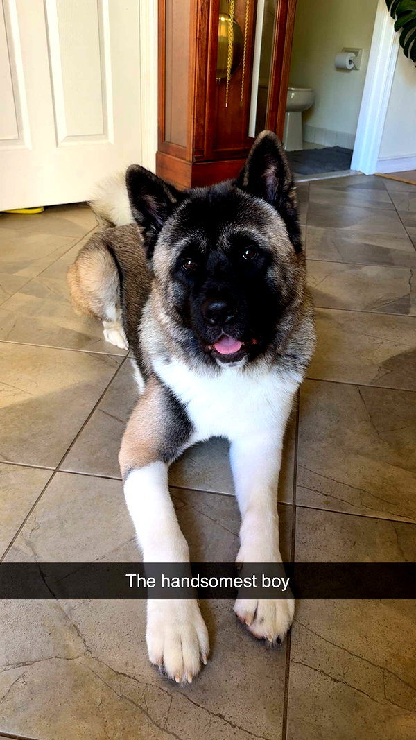 kayleedolisi snapchat image archive image