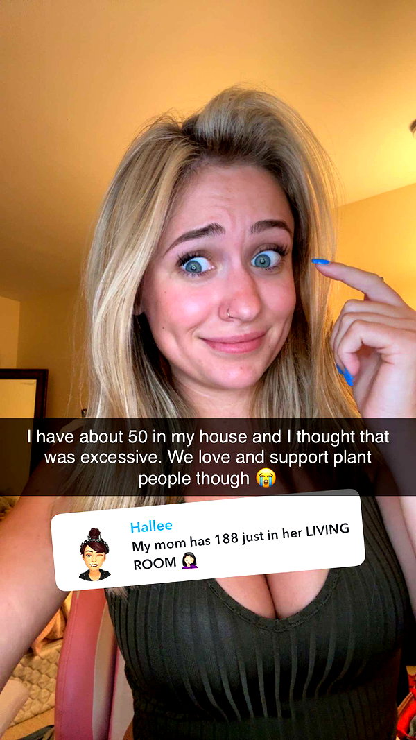 kayleedolisi snapchat image archive image