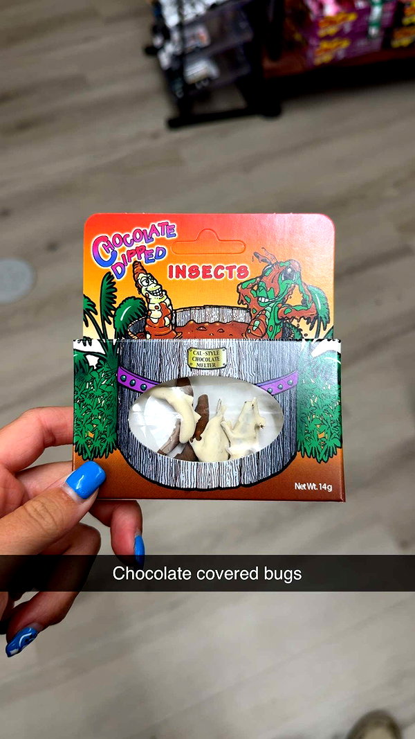 kayleedolisi snapchat image archive image