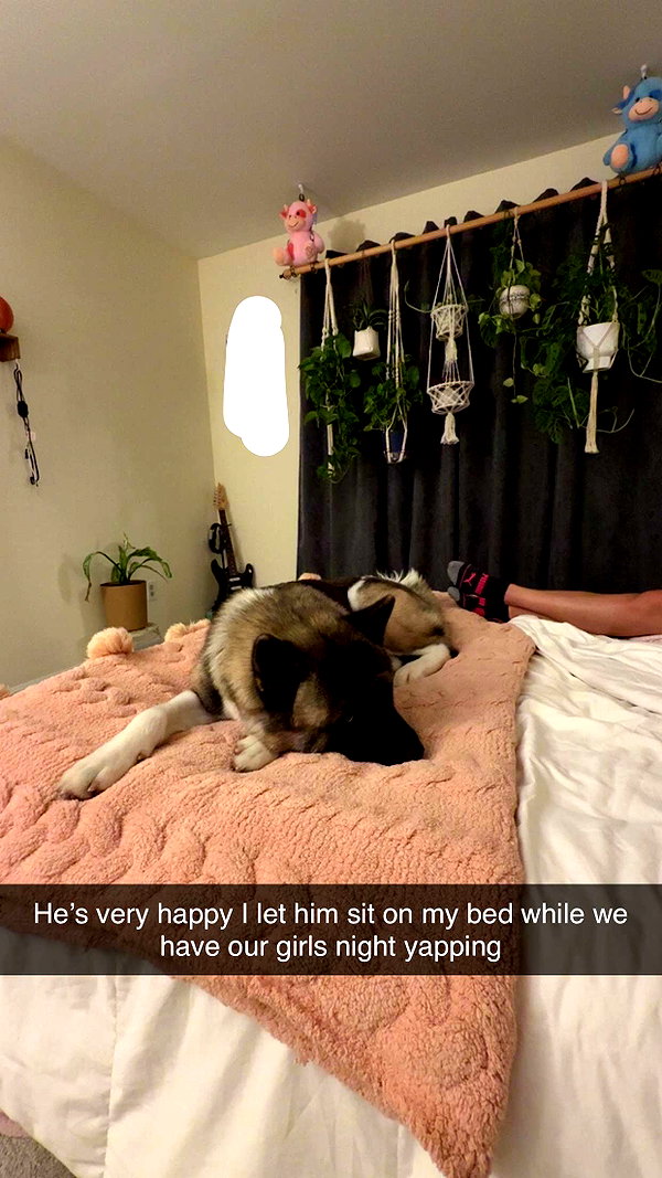 kayleedolisi snapchat image archive image