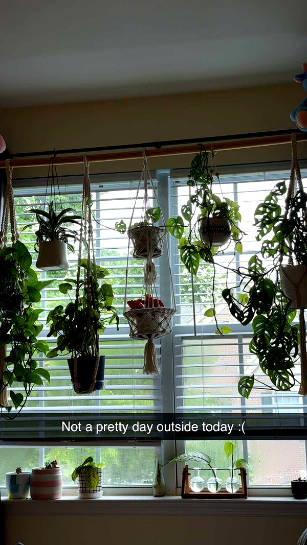 kayleedolisi snapchat image archive image