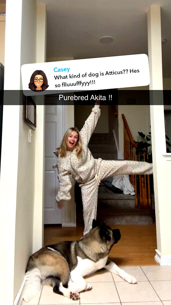 kayleedolisi snapchat image archive image
