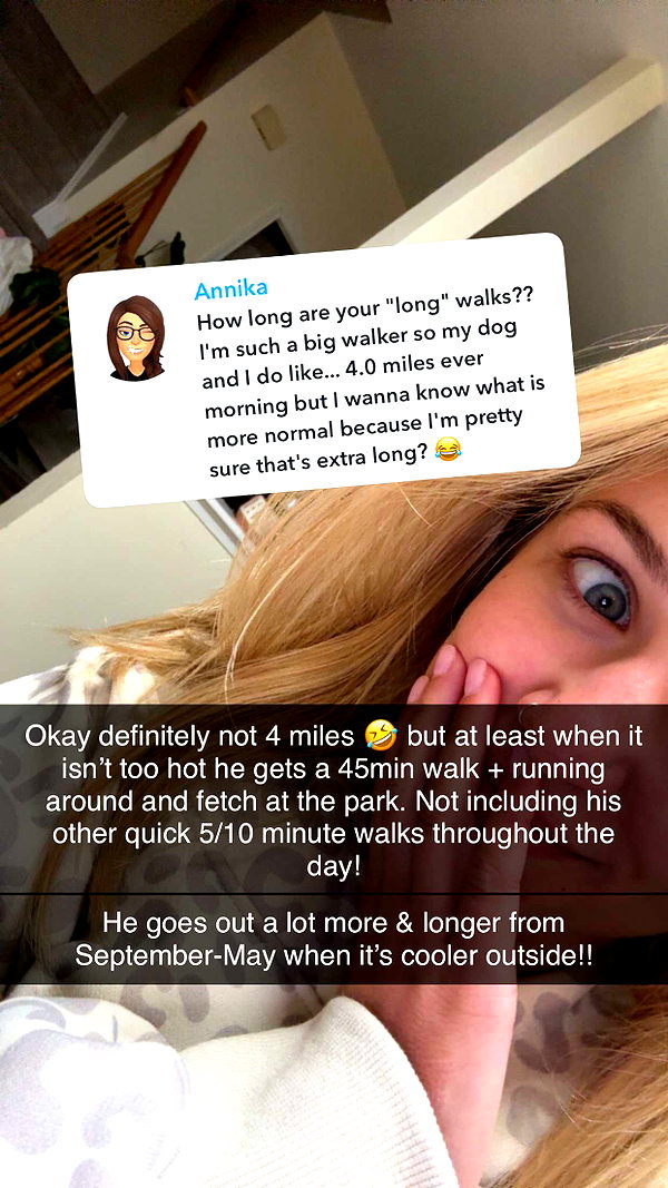 kayleedolisi snapchat image archive image