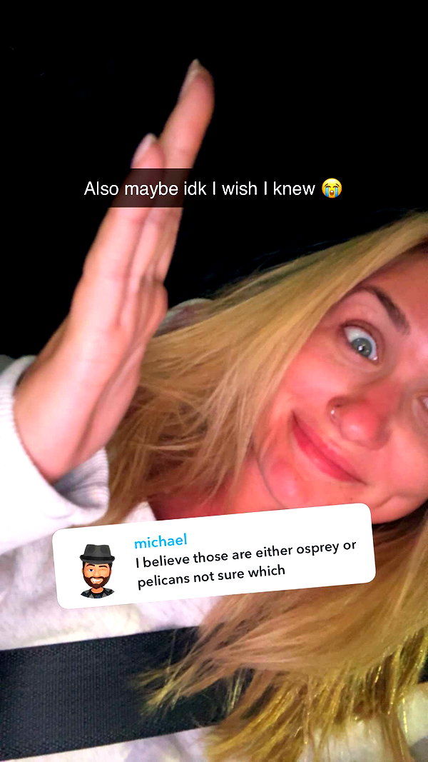 kayleedolisi snapchat image archive image
