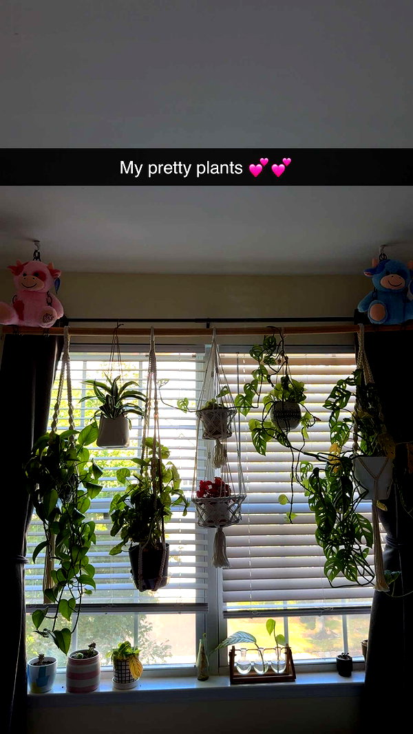 kayleedolisi snapchat image archive image