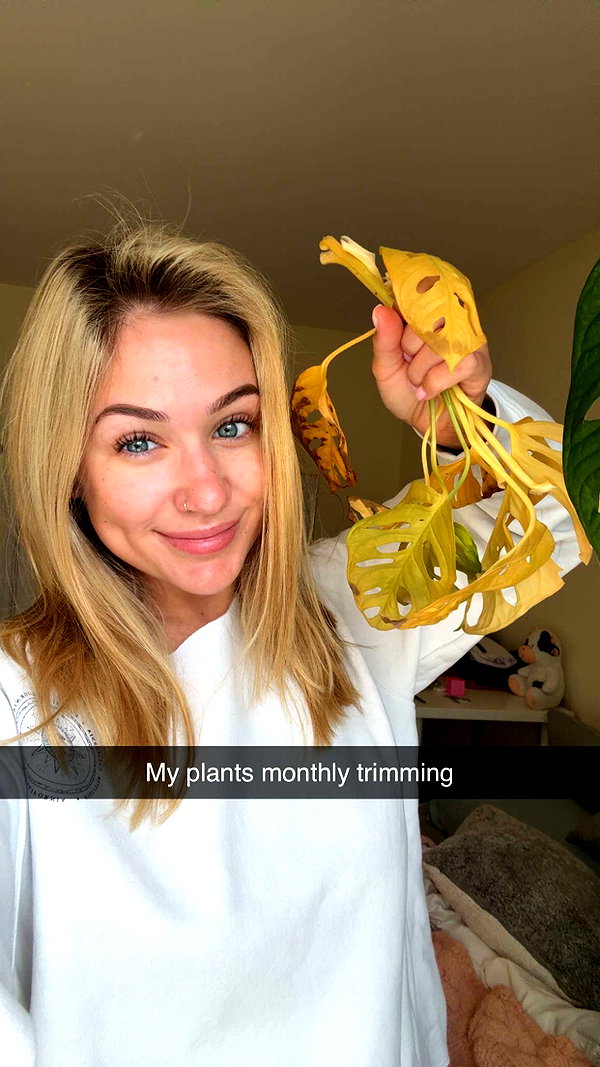 kayleedolisi snapchat image archive image