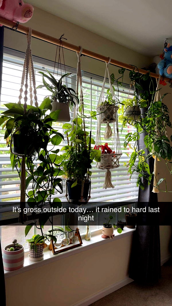 kayleedolisi snapchat image archive image