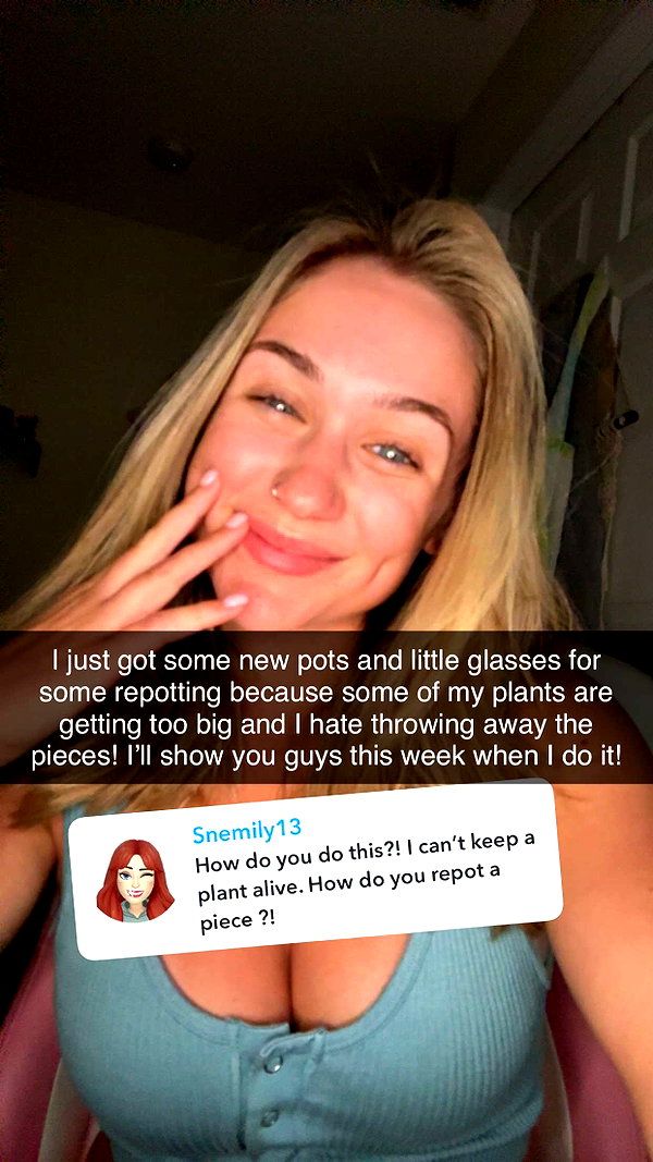 kayleedolisi snapchat image archive image