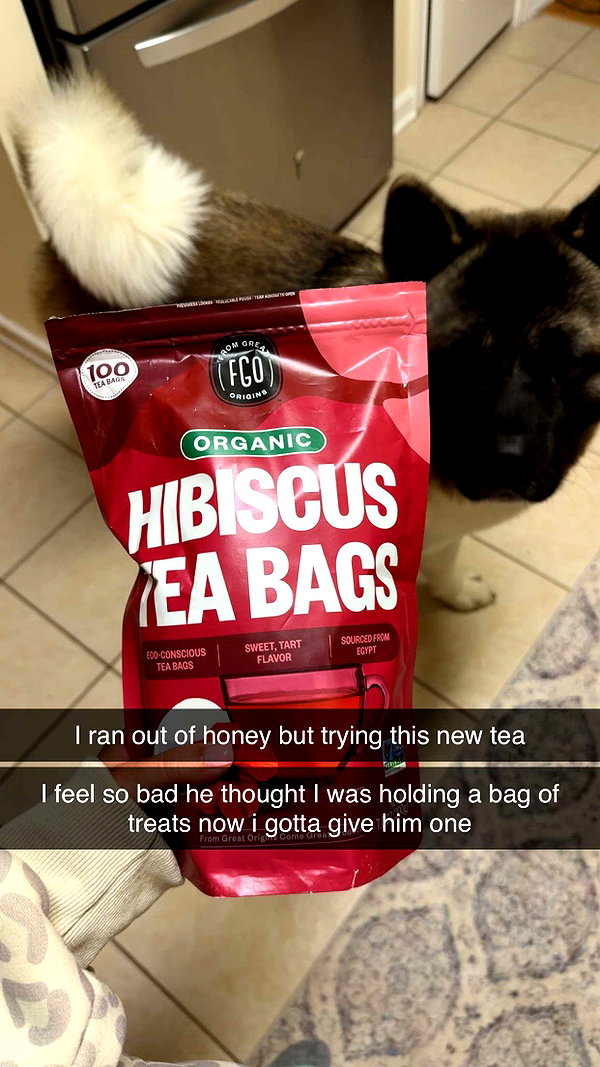 kayleedolisi snapchat image archive image