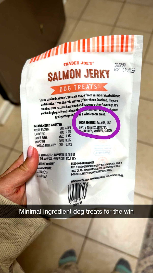 kayleedolisi snapchat image archive image